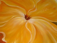 /album/papel-de-parede/dsc02112-jpg/