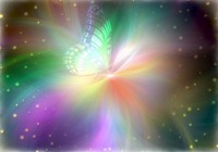 /album/papel-de-parede/borboleta-linda-jpg/